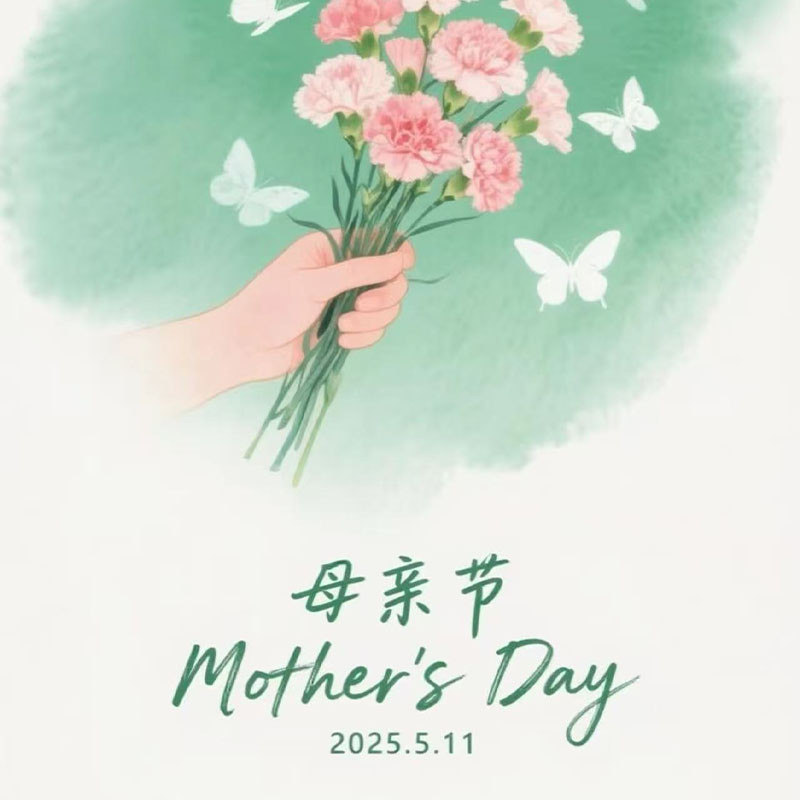 feliz dia das mães