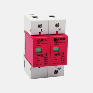NAAKUU NKBY1-B 2P Type 1 SPD 80 amp Best Whole House Power Surge protector
