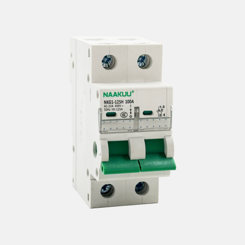 NAAKUU NKG1-125H 2 Pole 63amp مفتاح عزل للكهرباء أحادية الطور