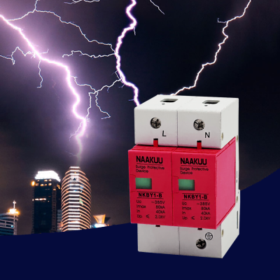 NAAKUU NKBY1-B 2P Type 1 SPD 80 amp Best Whole House Power Surge protector