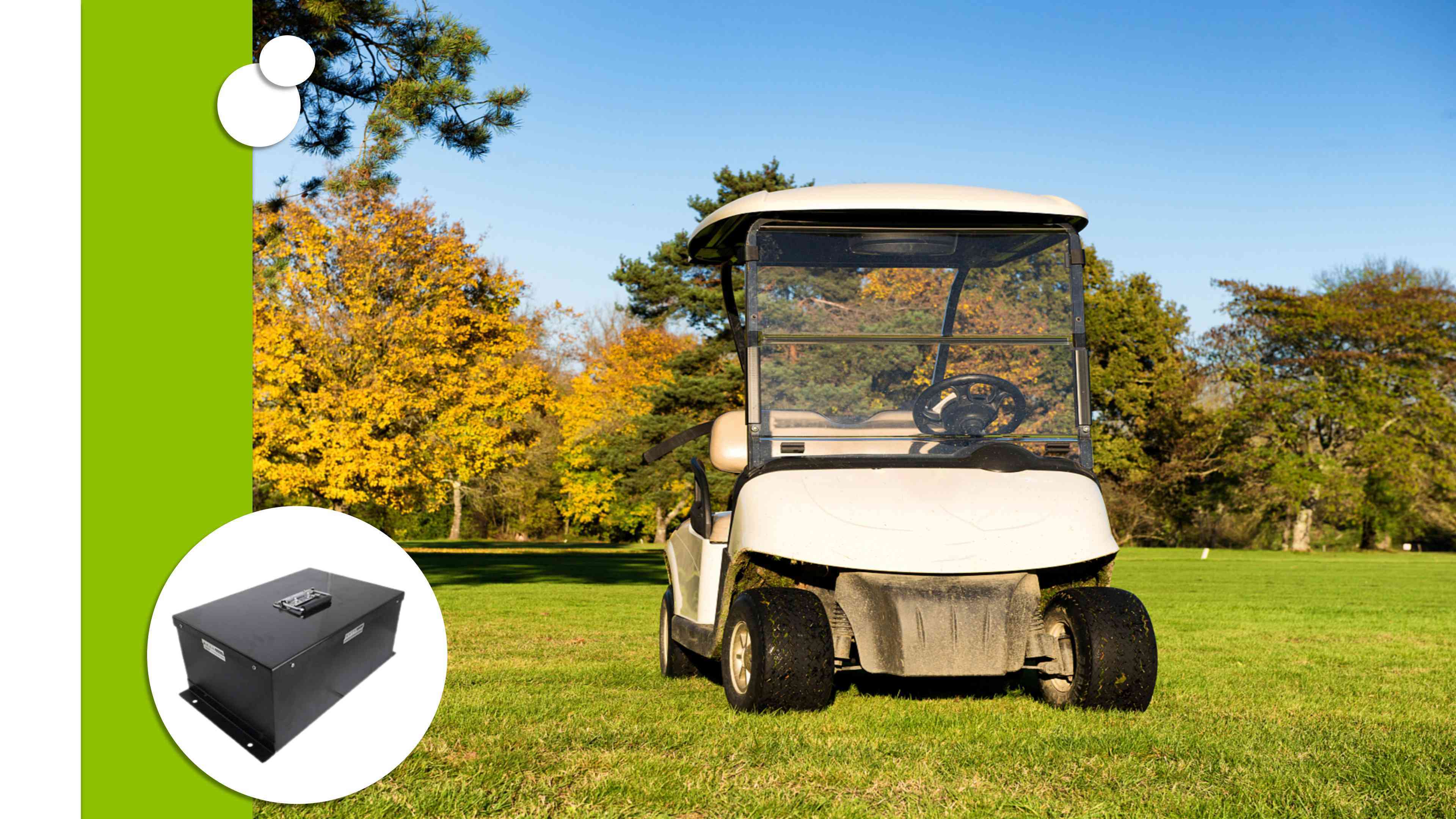 E-lary 48V 100Ah  Golf Cart Lithium Battery Application Scenario 4