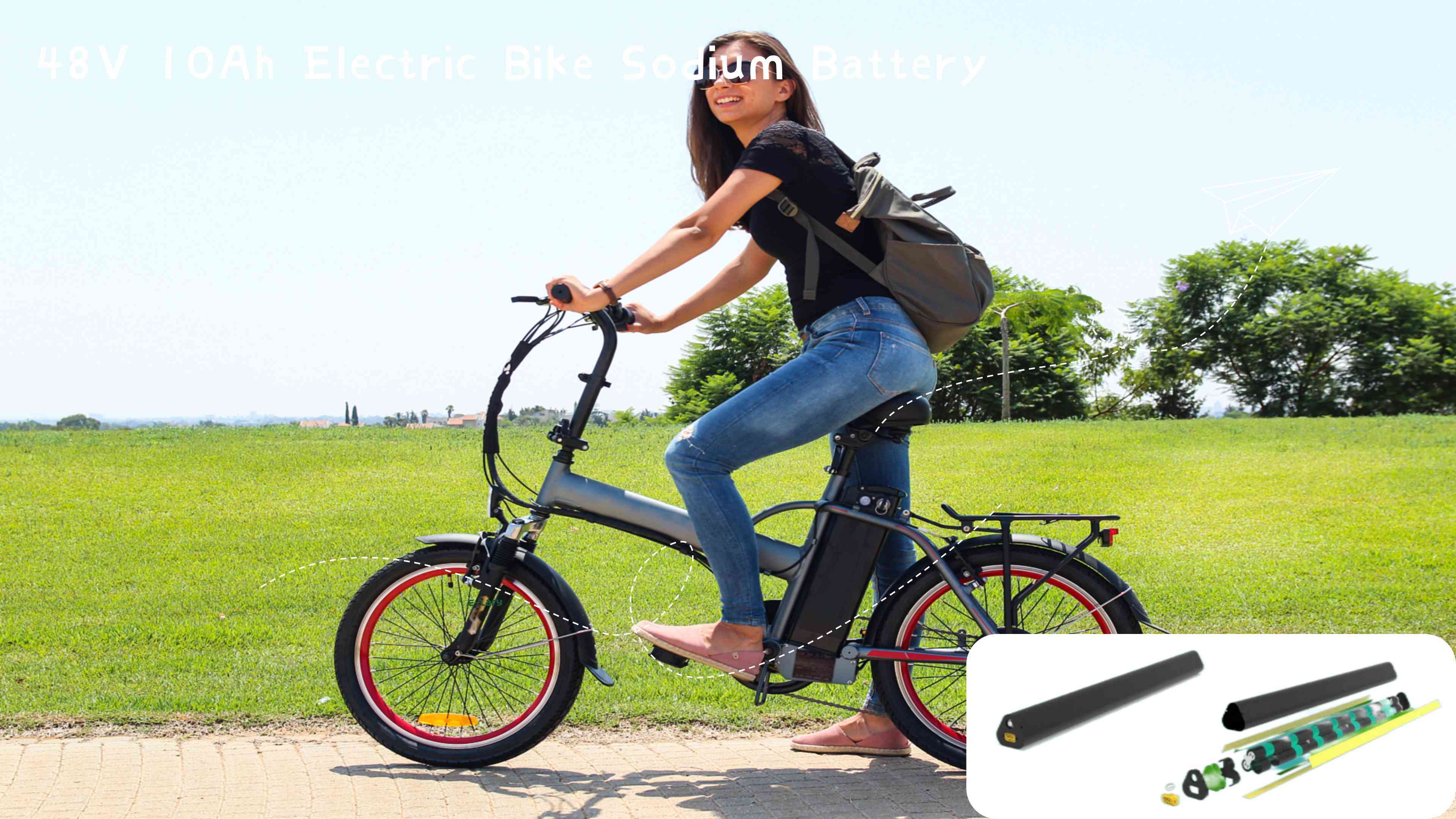  E-lary 48V 10Ah Electric Bike Lithium Battery