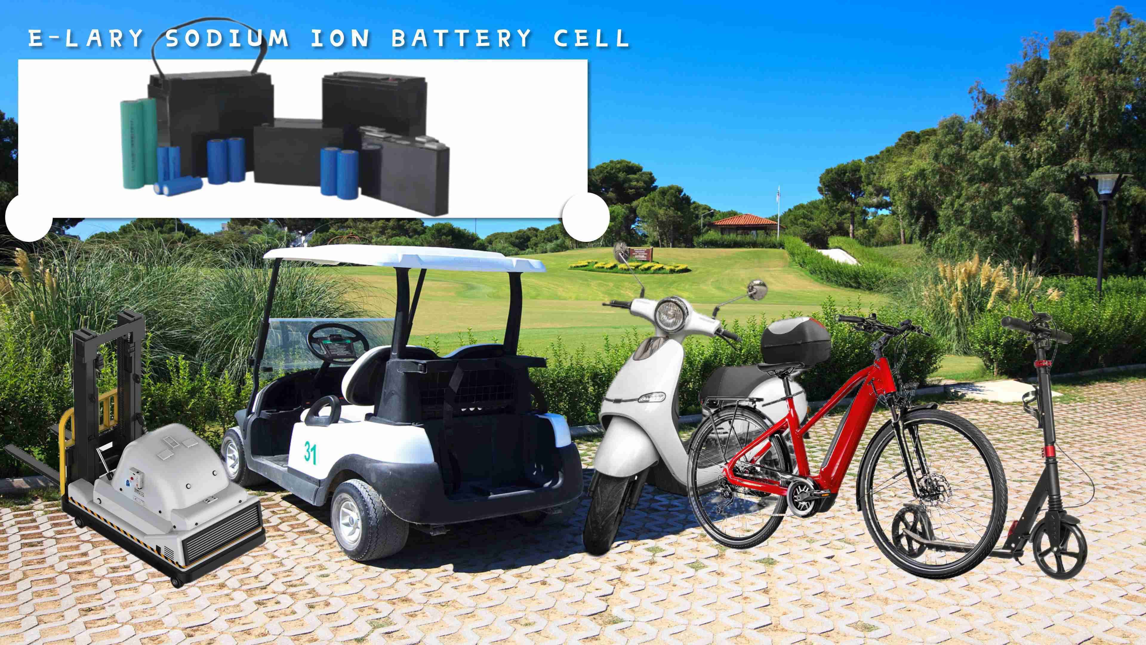 Sodium Ion Battery details