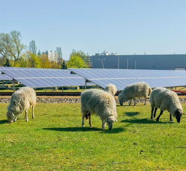 Farm Industrial And Commercial Solar Power Station