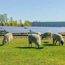 Farm Industrial And Commercial Solar Power Station