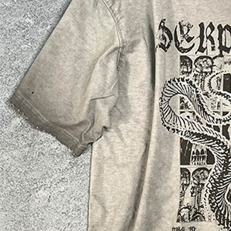 Men's Vintage Washed Snake Graphic T-Shirt