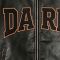 Custom Varsity Jacket 100% PU Leather Screen Print Rivet Patch