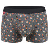 Herren Whisky Boxershorts in Flaschenform | Baumwollunterwäsche | Geschenkidee für Männer