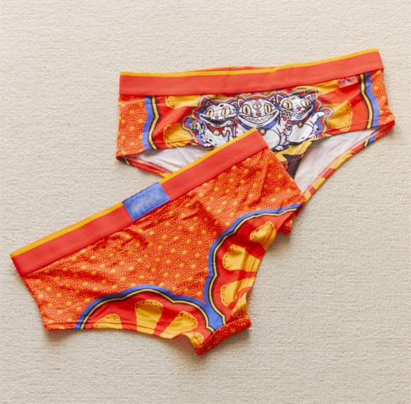 Low Waist Women Underwear With Lucky Neko Cat | No Show Invisible Briefs | Animal Print Elastic Bikini Hipster Panties