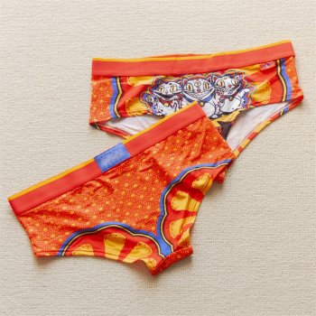 Low Waist Women Underwear With Lucky Neko Cat | No Show Invisible Briefs | Animal Print Elastic Bikini Hipster Panties