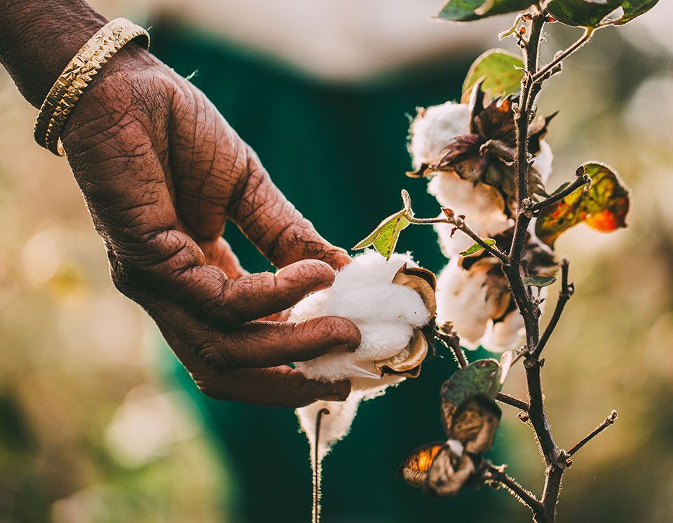 Sustainable Underwear Production: How Fashion Oxygen Manufacturer Are Leading the Green Revolution