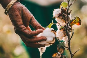 Sustainable Underwear Production: How Fashion Oxygen Manufacturer Are Leading the Green Revolution