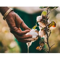 Sustainable Underwear Production: How Fashion Oxygen Manufacturer Are Leading the Green Revolution