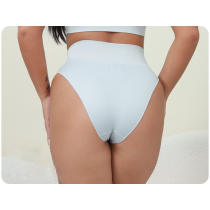 Women's Seamless Breathable Ladies Panties | No Show Comfortable Briefs | Women Bikini Underwear