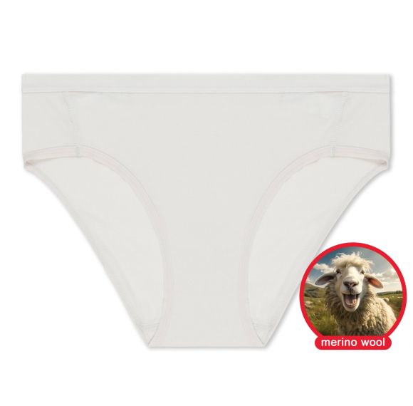 Women's Ridge Merino Wool Hipster Brief | Odor-Resistant Breathable Temperature Regulating Underwear
