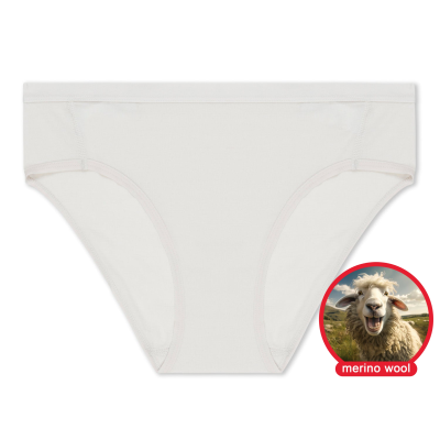 Women's Ridge Merino Wool Hipster Brief | Odor-Resistant Breathable Temperature Regulating Underwear
