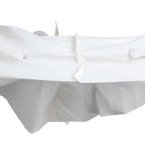 Biodegradable, Compostable Shopping Bags: The Sustainable, Durable Solution for Retailers and Wholesalers