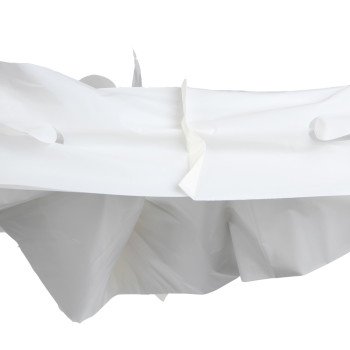 EN13432 Biodegradable, Compostable Shopping Bags: The Sustainable, Durable Solution for Retailers and Wholesalers