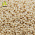 Biodegradable & Compostable Cornstarch, PBAT, PLA Resins For North America, South America, Western Europe, and Oceania