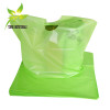 Eco-Friendly Compostable Die Cut Handle Bags for boutique retail shopping