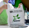 Compostable Shopping Bags: What B2B Buyers Should Check Before Ordering