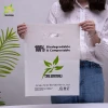 Carry Bags T-shirt Bag Wholesale Custom Logo Plastic Biodegradable Compostable Plastic Package Custom Shopping Bag Fashionable