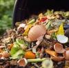 Tips for Successful Home Composting: Embracing a Greener Lifestyle