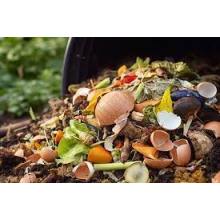 Tips for Successful Home Composting: Embracing a Greener Lifestyle