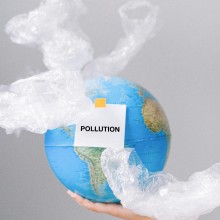 Compostable Bags: The Best Choice for Eco-Friendly Bags | Sustainable Solutions to Reduce Plastic Pollution
