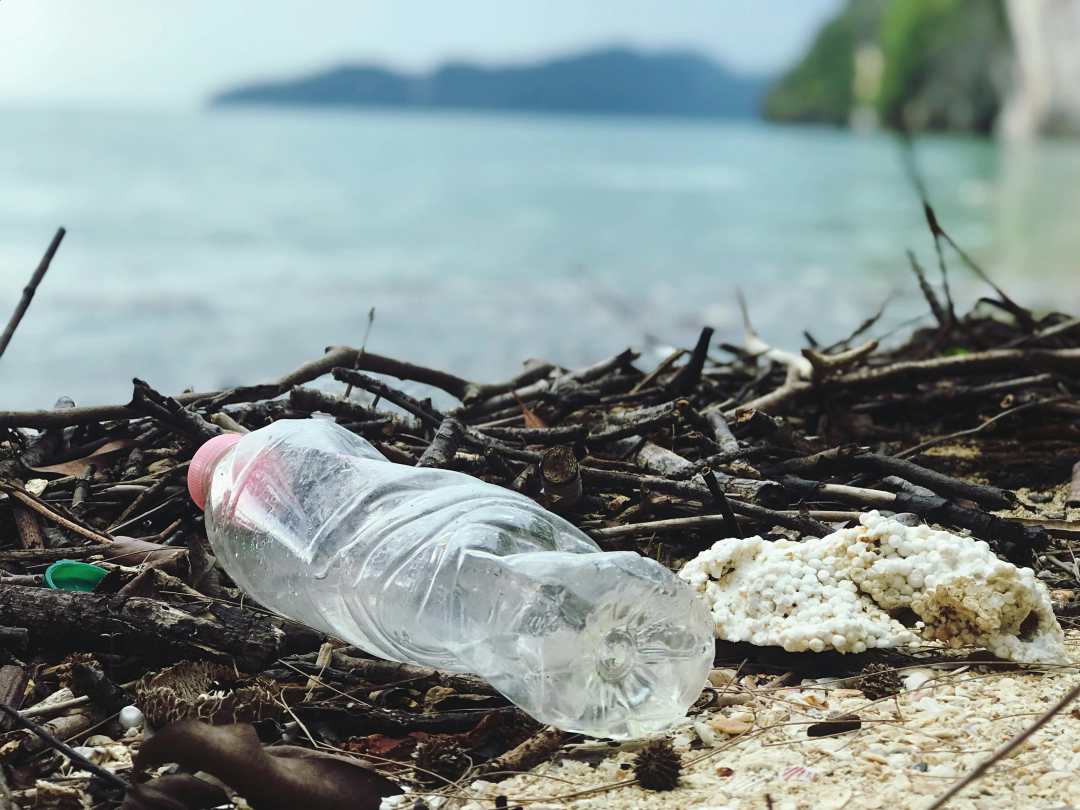 Current Status of Plastic Pollution