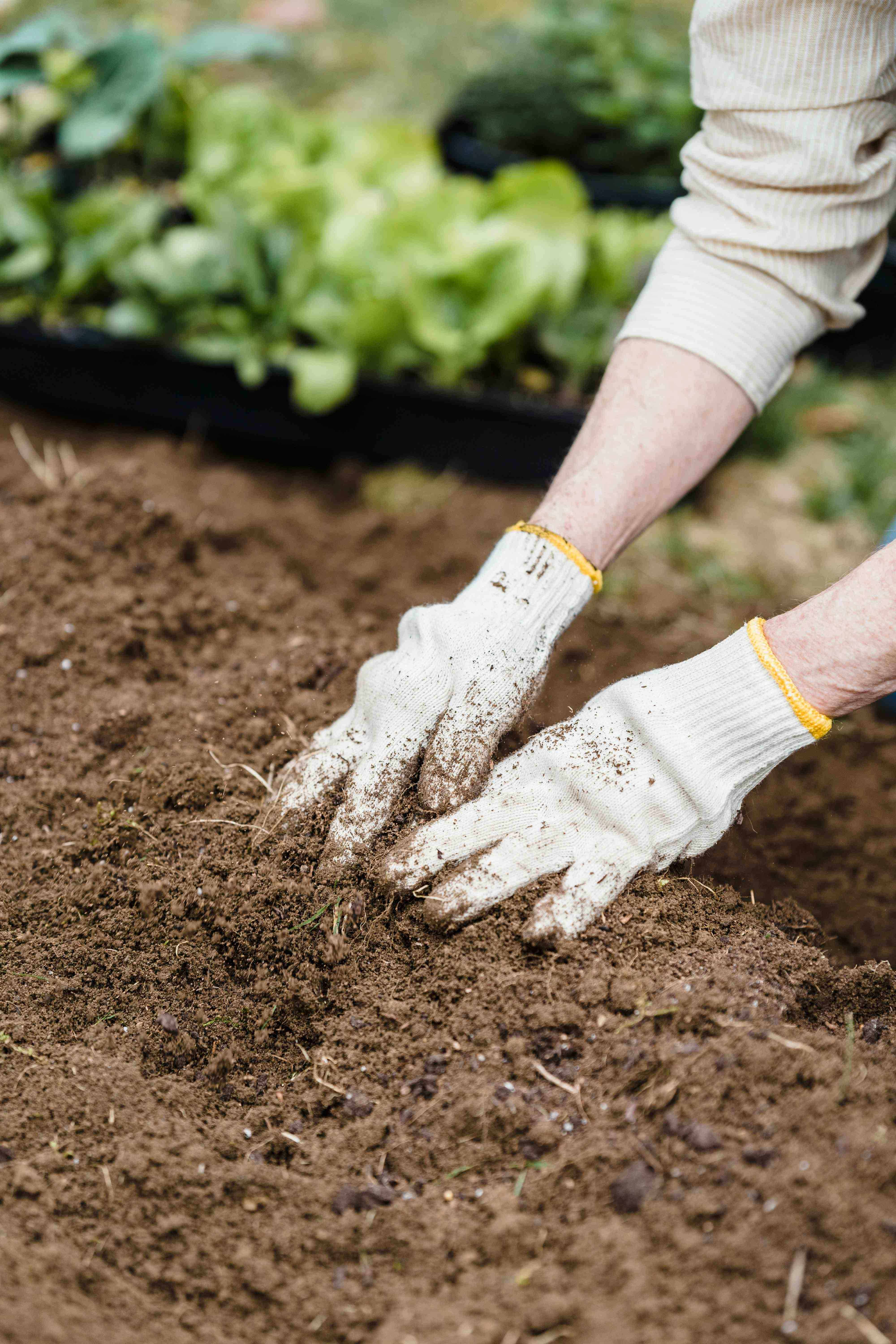 compost at home