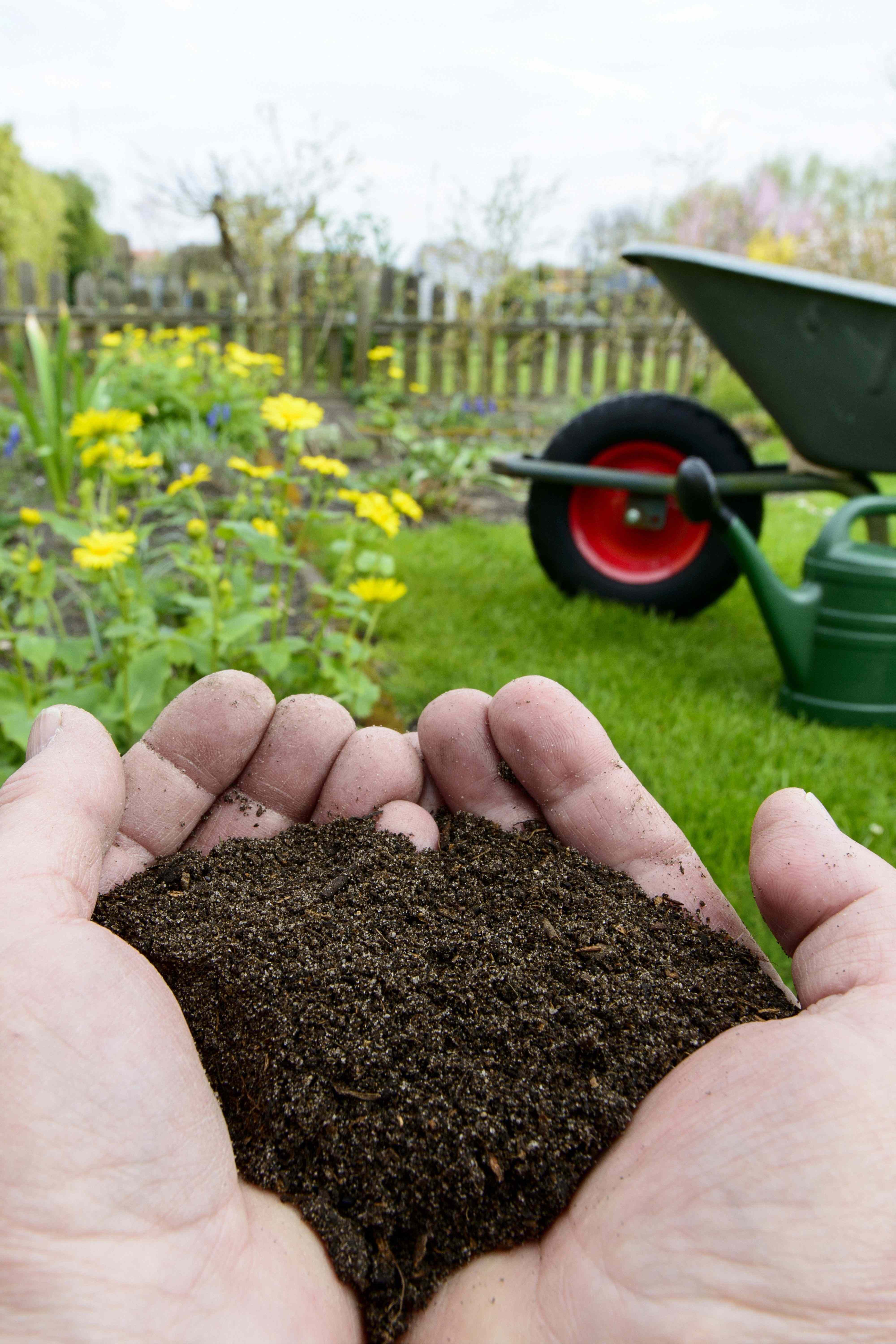 compost at home