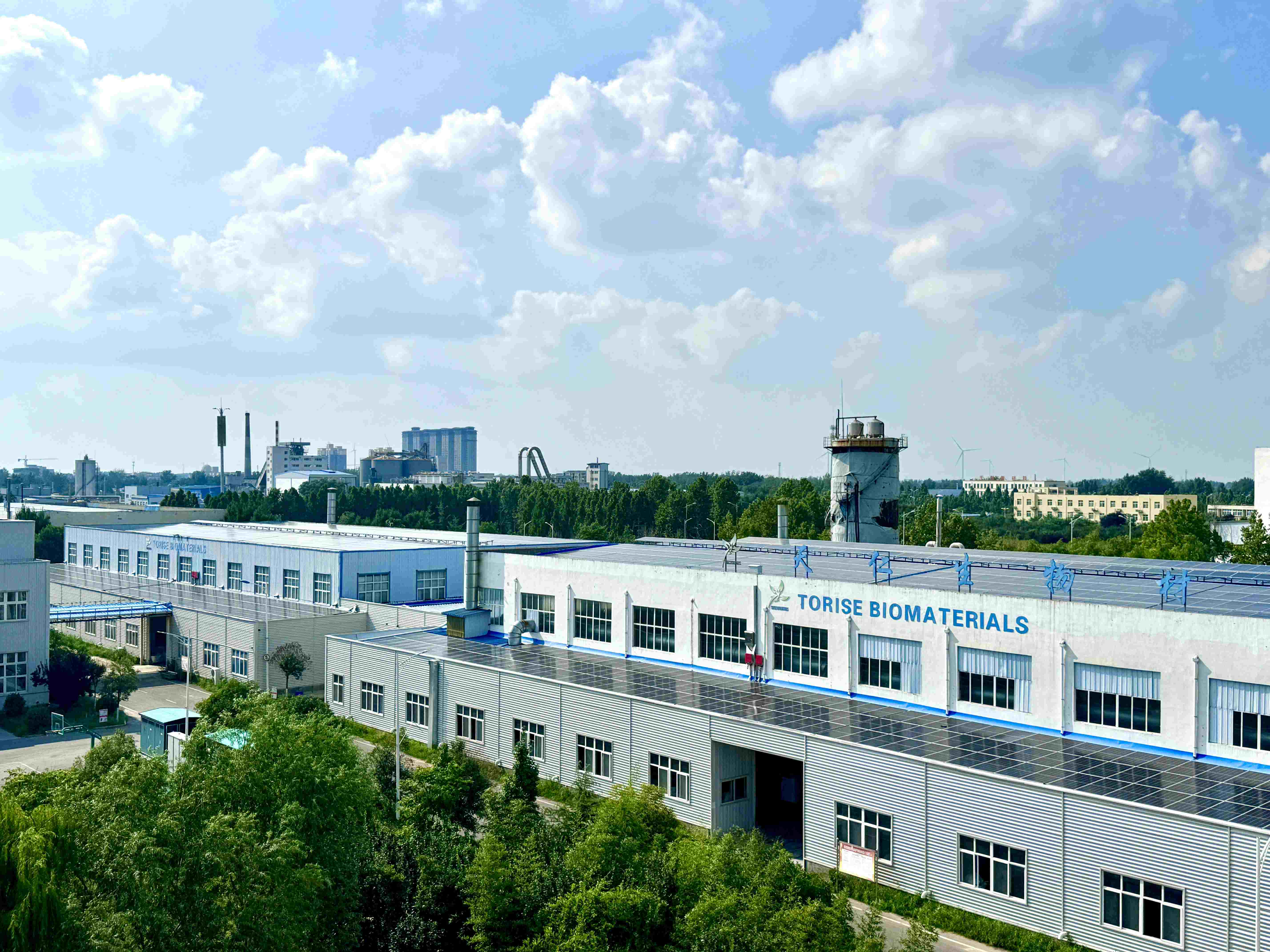 Torise Biomaterials Company real picture