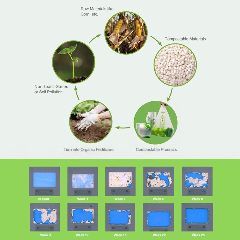 Schematic diagram of the degradation of a compostable fruit bag, showing the composting process.