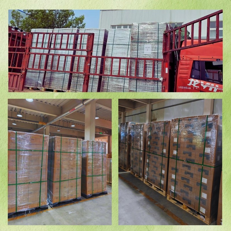 Compostable produce bags stacked on pallets, ready for wholesale orders and bulk shipping.