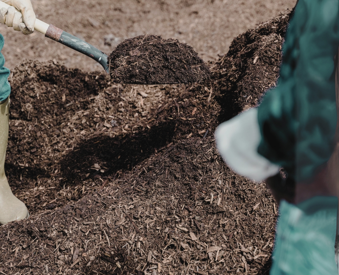 Fertilizer from compost