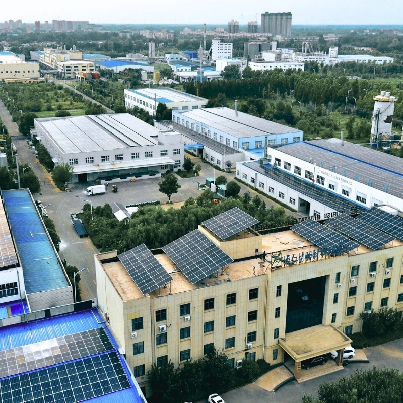 Large-scale factory covering 50,000 square meters with annual production capacity of 200,000 tons.