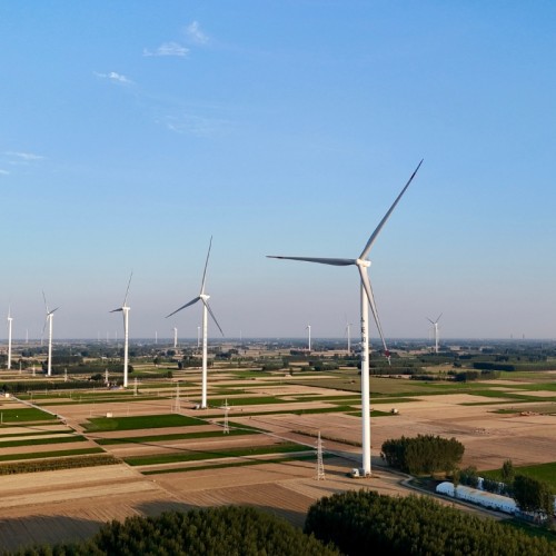 Torise Biomaterials: Redefining Manufacturing with 100% Green Power