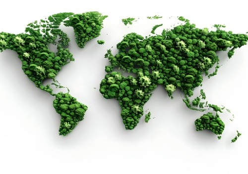 2026 Global Plastic Ban Map: The Wholesaler’s Strategic Roadmap to Compliance and Premium Profits