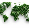 Countries Requiring Biodegradable Bags | 2025 Global Laws