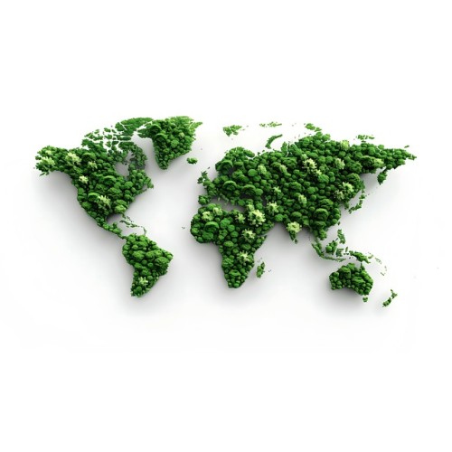 Countries Requiring Biodegradable Bags | 2025 Global Laws