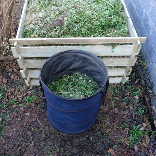 Are Compostable Bags Truly Compostable? Torise Biomaterials' 15-Year Journey to Authentic Sustainability