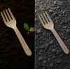How Long Does Compostable Cutlery Take to Decompose? The Truth Behind the Timeline