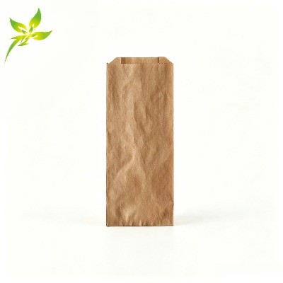 Custom Eco-Friendly Compostable Greaseproof Snack & Hot Dog Kraft Paper Bags
