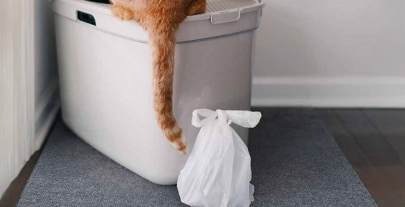 Cat litter bag detail