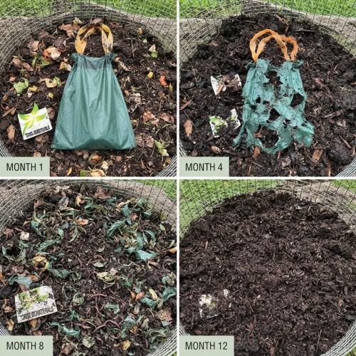 Municipal Compostable Dog Waste Bags | Durable, Leak-Resistant & Custom Bulk Supply