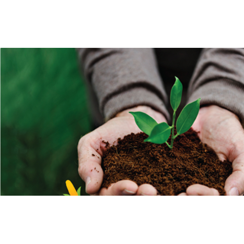 Henan Longdu Torise Biomaterials to Showcase Sustainable Solutions at Three International Exhibitions