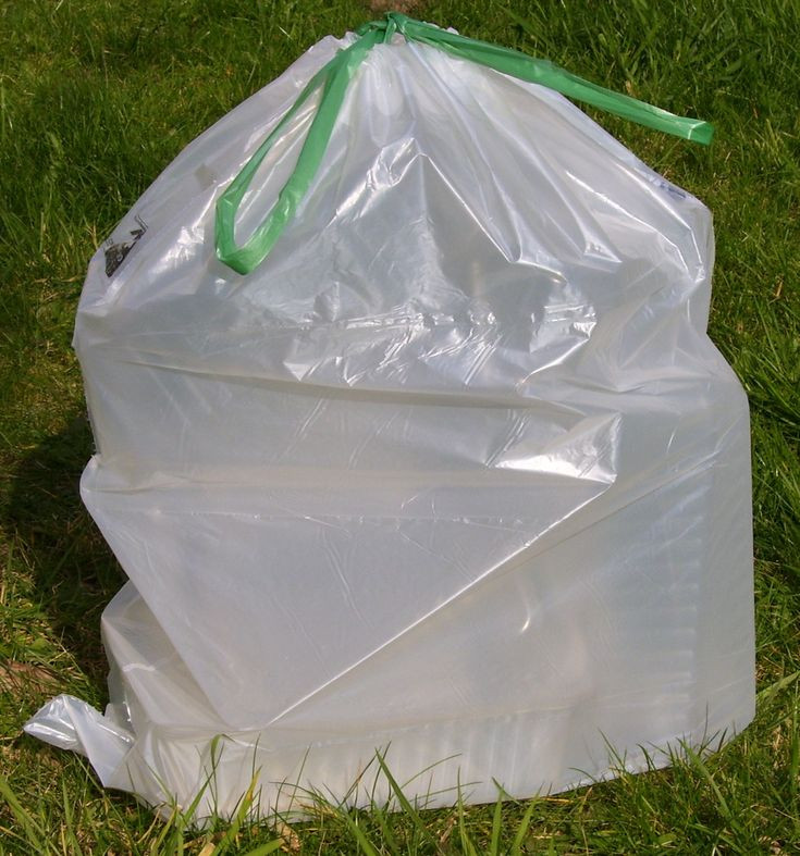 compostable bags