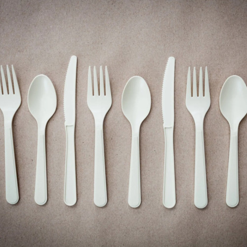 Biodegradable Cutlery | Compostable Knives, Forks, and Spoons | Eco-friendly Tableware | Manufactured in Origin Factory | Bulk Wholesale
