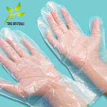 Sustainability in Healthcare: The Role of Compostable Gloves